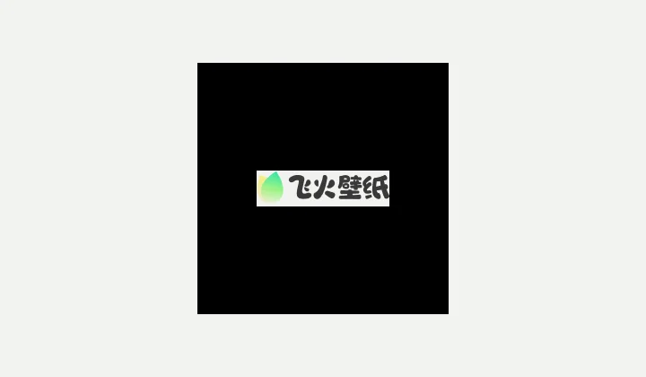 飞火壁纸 软件缩略图